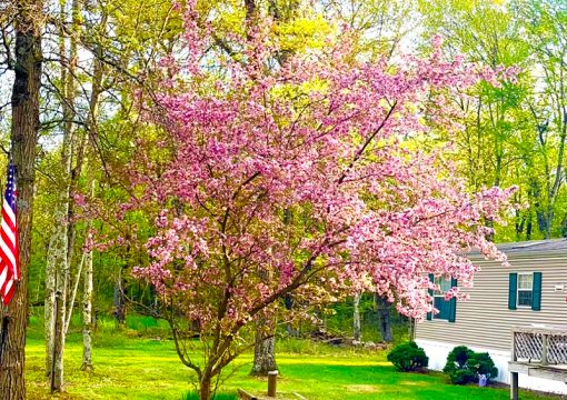Cabin #2 – County Road E