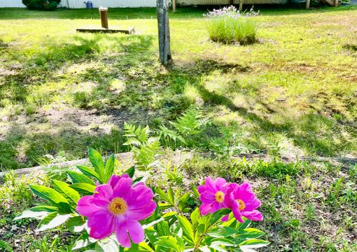 Cabin #2 – County Road E