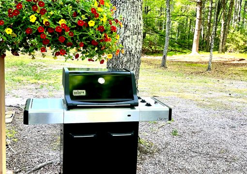 Cabin #4 – Riveria