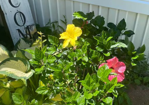 Cabin #2 – County Road E