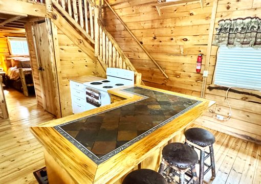 Cabin #1 – Evergreen