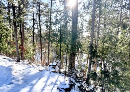 Cabin #5 – Creekside Retreat